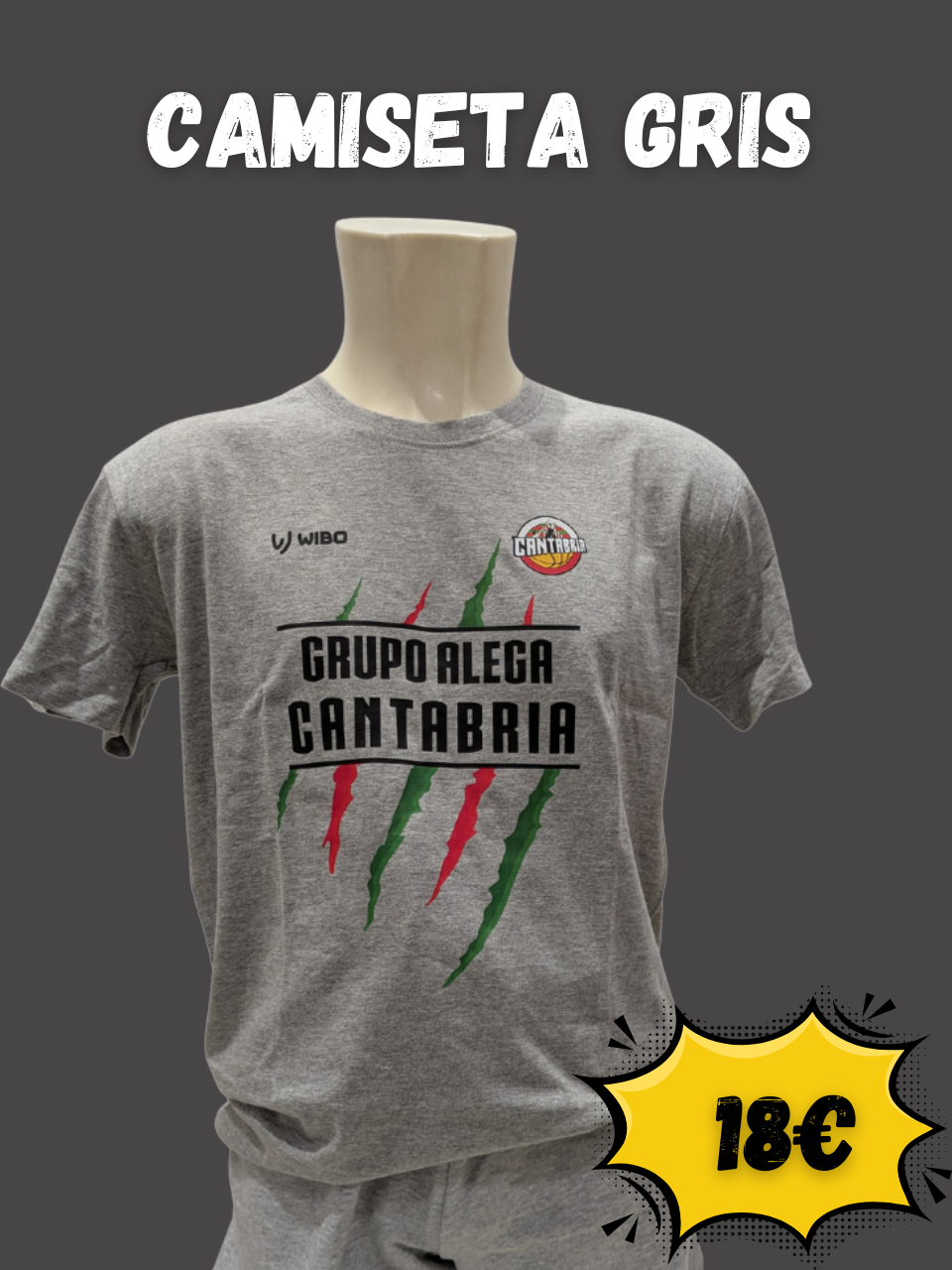 Camiseta Gris Garra