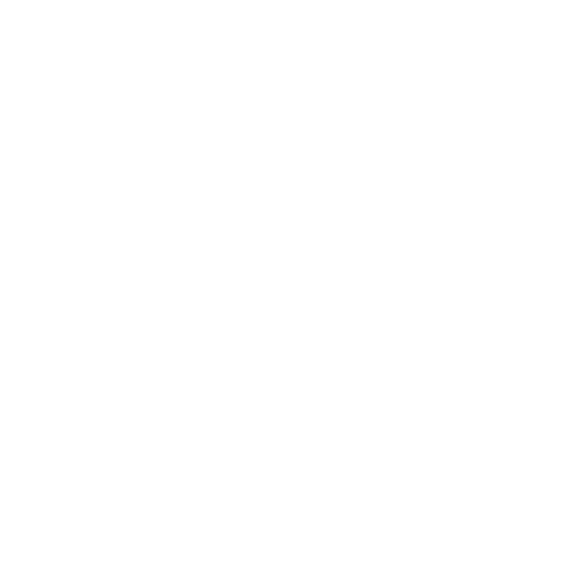 Primera FEB